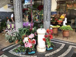 Markt in Funchal 