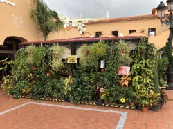 Santa Cruz de La Teneriffa 