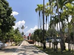 Duangjitt Resort Patong Beach 