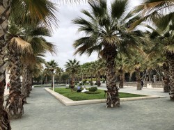 Puerto de Malaga